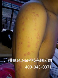 广州灭臭虫公司 广州灭臭虫公司